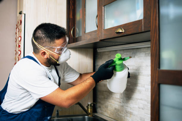 Professional Pest Control in Goodlettsville, TN