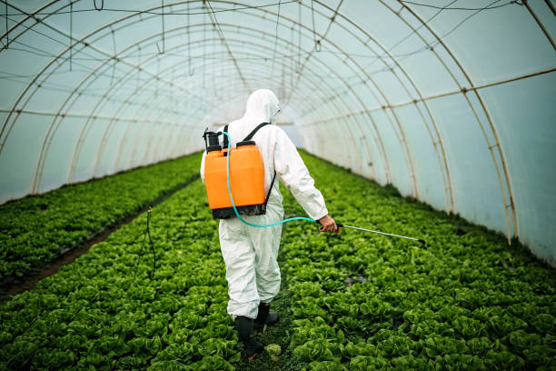 Best Pest Removal Services  in Goodlettsville, TN