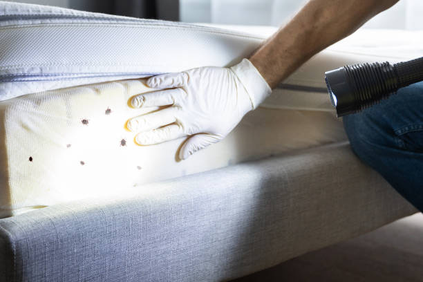 Best Flea Control Services  in Goodlettsville, TN