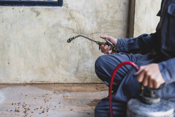 Best Affordable Pest Control Services  in Goodlettsville, TN