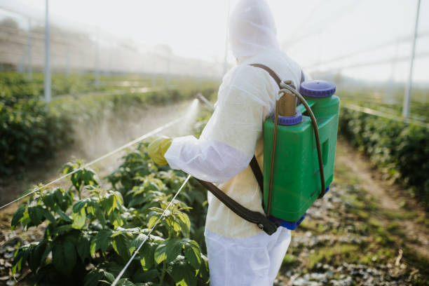 Best Wasp Removal Services  in Goodlettsville, TN